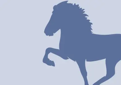 Potra línea antigua