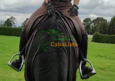 Tu pasión por la equitación merece lo mejor: Botas de cuero personalizadas.