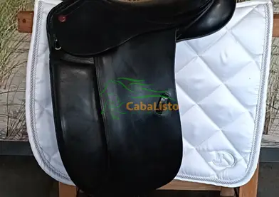 JORGE CANAVAS DE DOMA